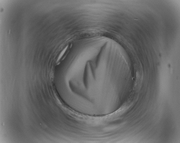 X0000084010048200703022042