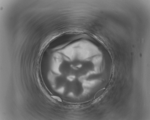 X0000084010049200703022042