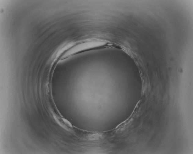 X0000084010050200703022042