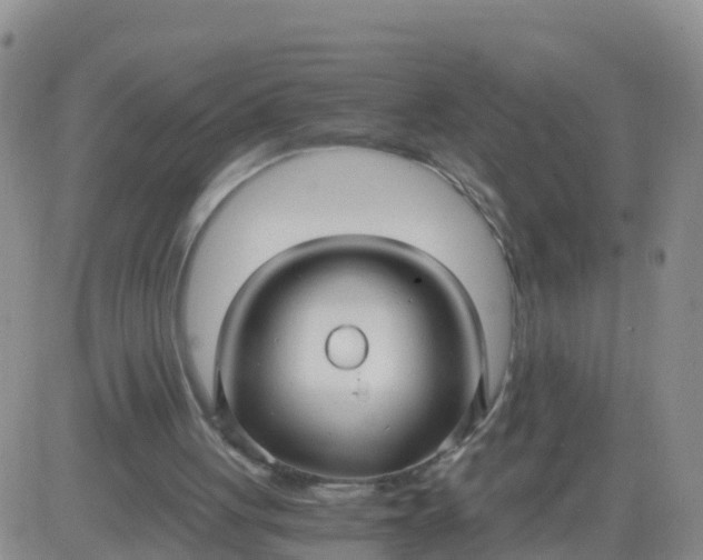 X0000084010051200703022042