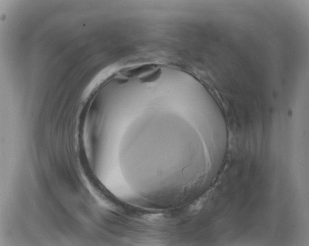 X0000084010054200703022042