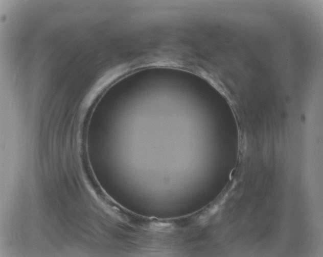 X0000084010055200703022042