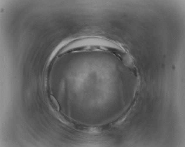 X0000084010056200703022042