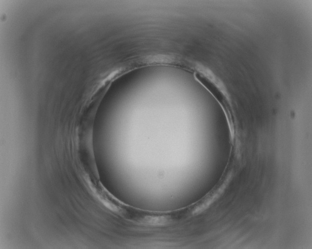 X0000084010057200703022042