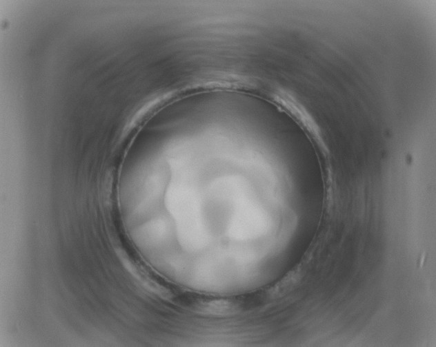 X0000084010058200703022042