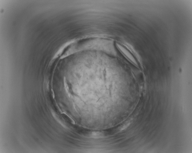 X0000084010060200703022042