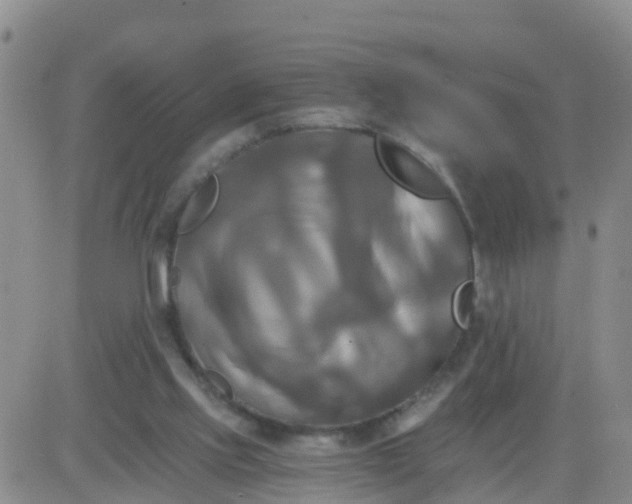 X0000084010061200703022042