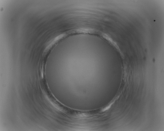 X0000084010062200703022042