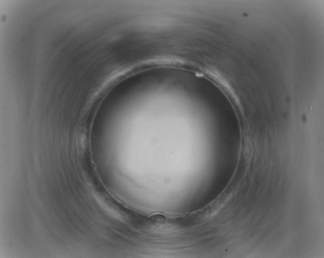 X0000084010063200703022042