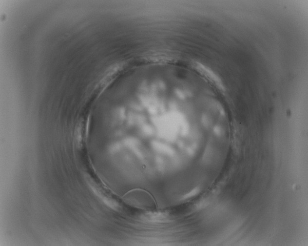 X0000084010065200703022042