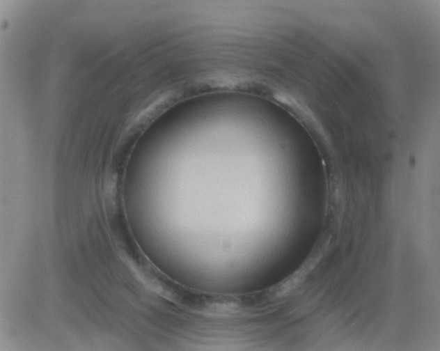 X0000084010066200703022042