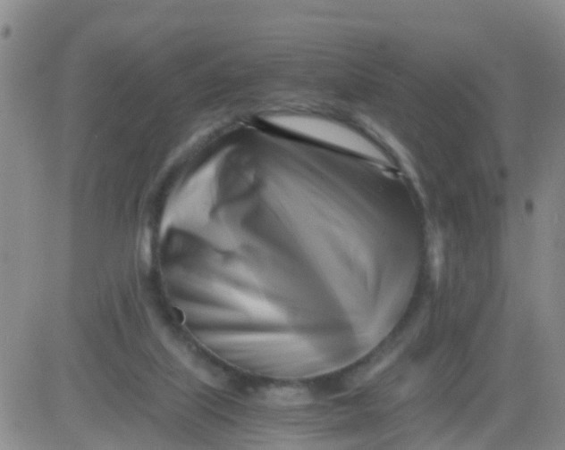 X0000084010067200703022042