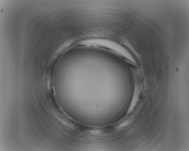 X0000084010068200703022042