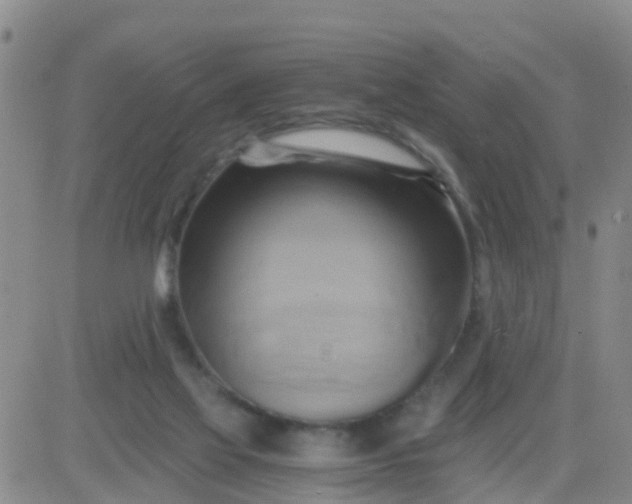 X0000084010069200703022042