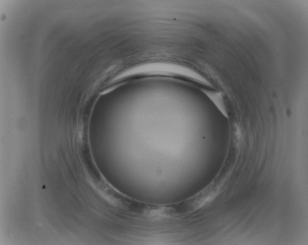 X0000084010072200703022042