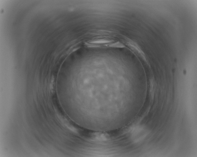 X0000084010073200703022042