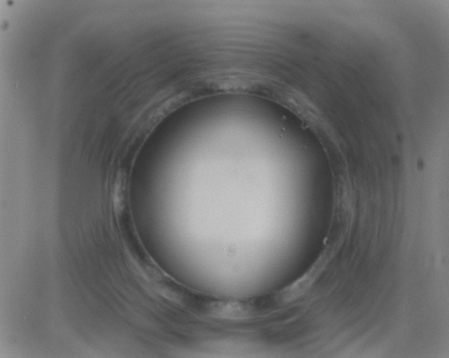 X0000084010074200703022042