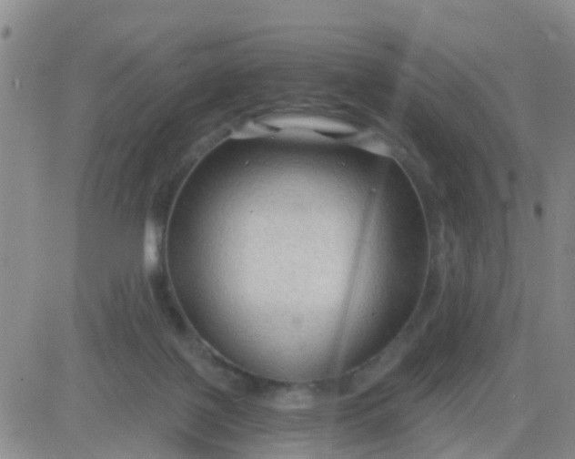 X0000084010075200703022042