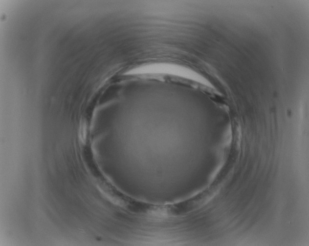 X0000084010076200703022042