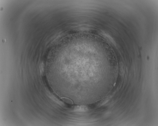 X0000084010077200703022042