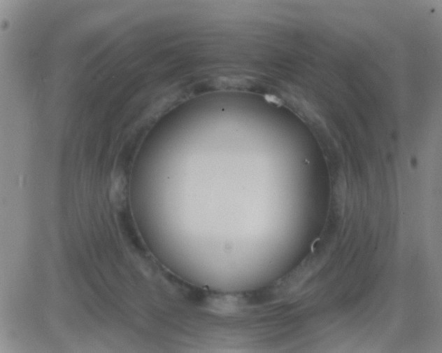 X0000084010079200703022042