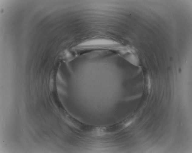 X0000084010080200703022042