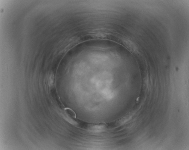 X0000084010081200703022042