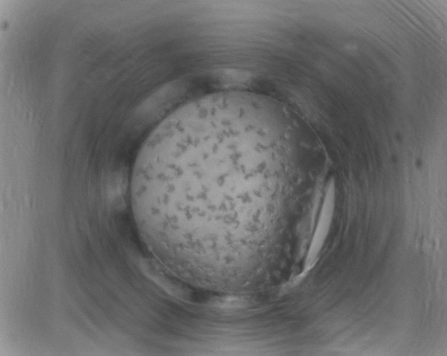 X0000084010082200703022042