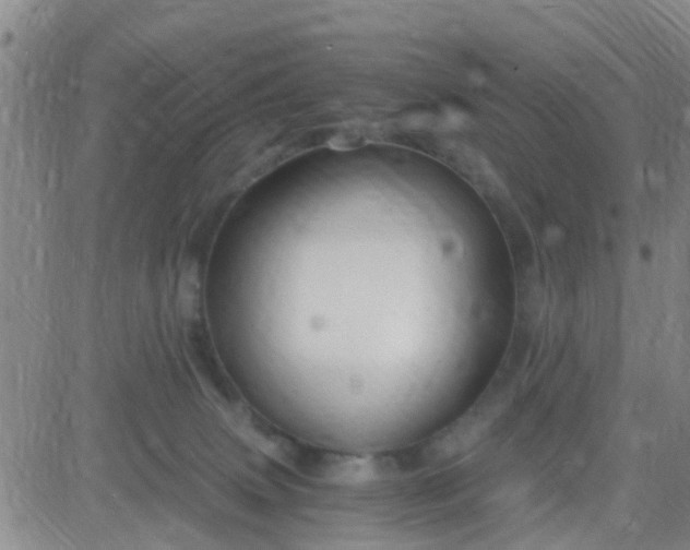 X0000084010083200703022042