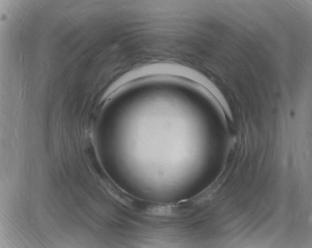 X0000084010084200703022042