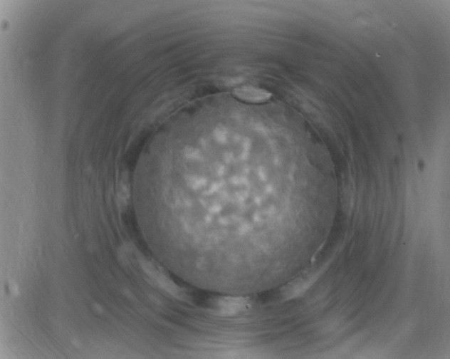 X0000084010085200703022042