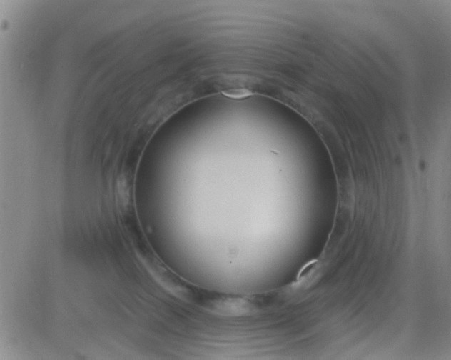 X0000084010086200703022042