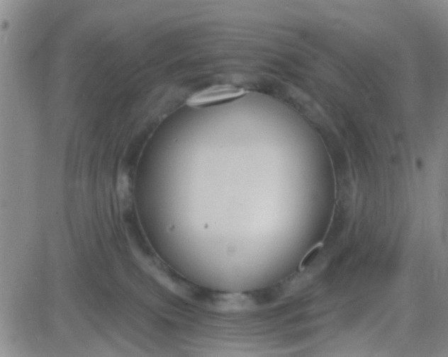 X0000084010087200703022042