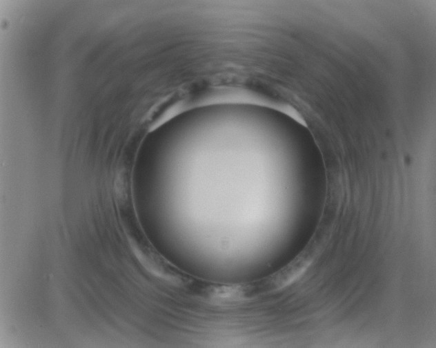 X0000084010088200703022042