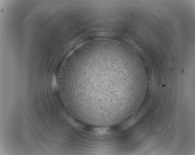 X0000084010089200703022042