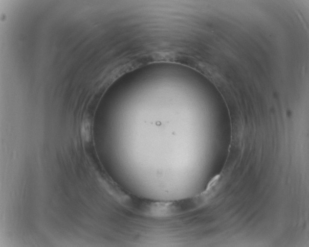 X0000084010090200703022042