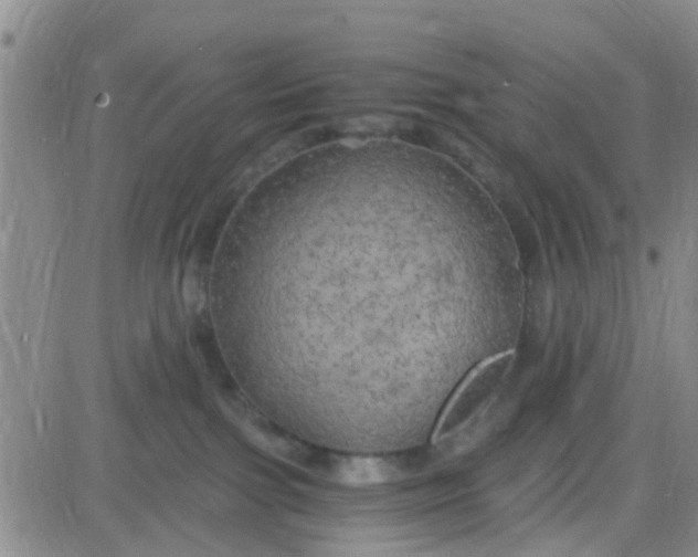 X0000084010091200703022042