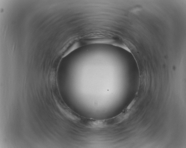 X0000084010092200703022042