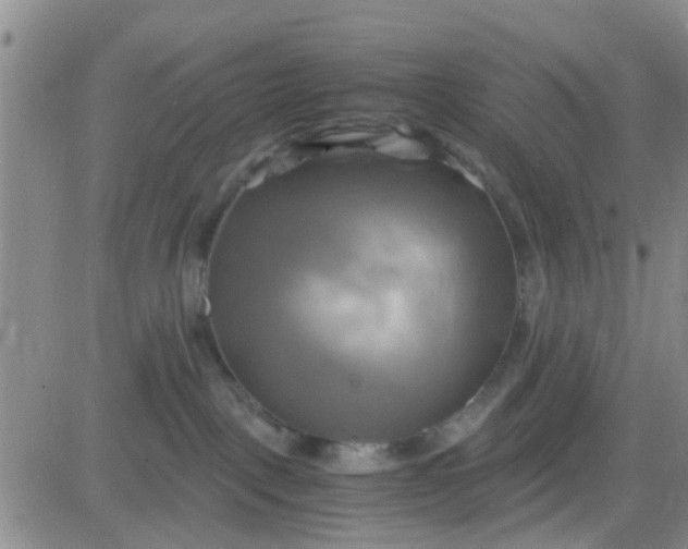 X0000084010093200703022042