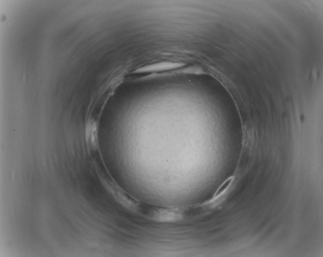 X0000084010094200703022042