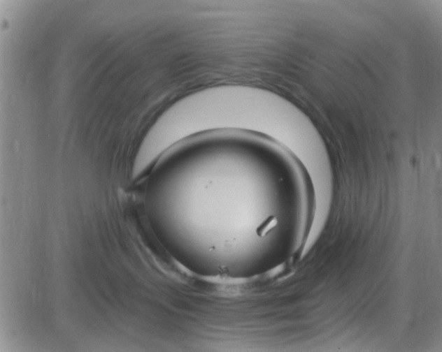 X0000084010095200703022042