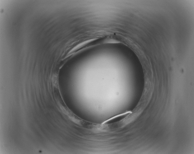 X0000084010096200703022042