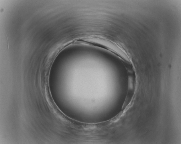 X0000084010097200703022042