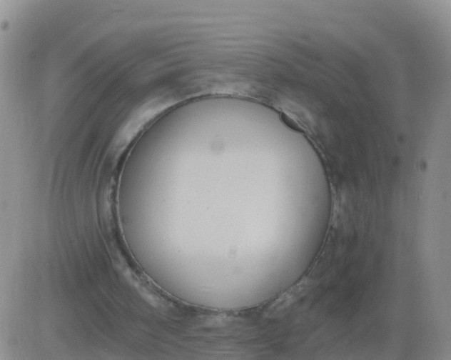 X0000084010098200703022042