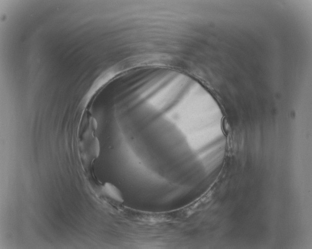 X0000084010099200703022041