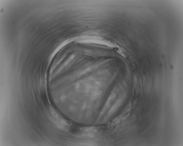 X0000084010100200703022041