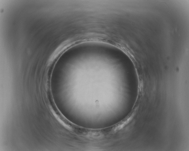 X0000084010101200703022041