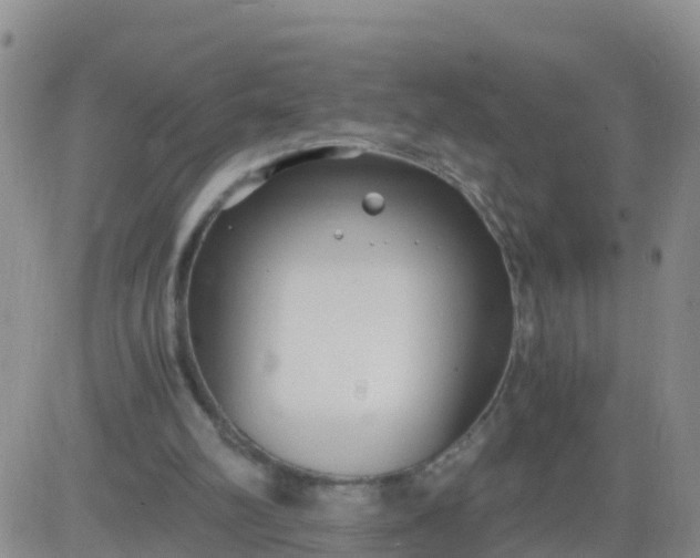 X0000084010102200703022041