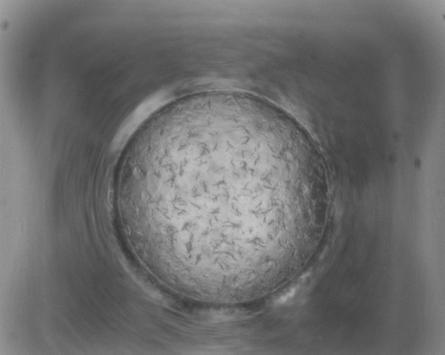 X0000084010103200703022041