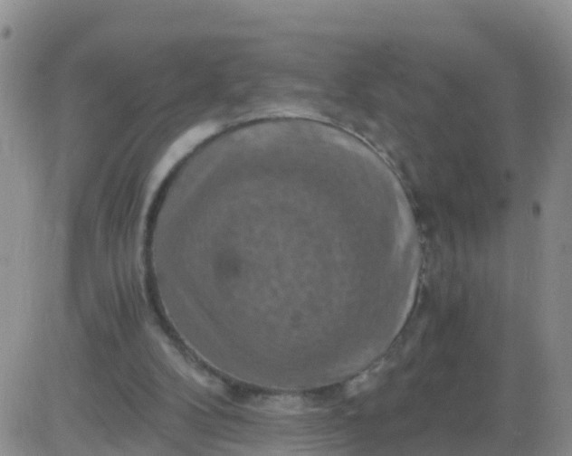 X0000084010104200703022041